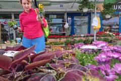Zielone_patio001