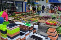 Zielone_patio006