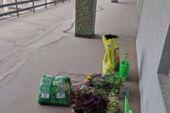 Zielone_patio012a