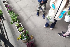 Zielone_patio023