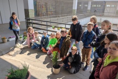 Zielone_patio032