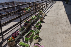 Zielone_patio035
