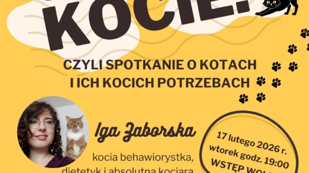 SOWA_koty_17022026